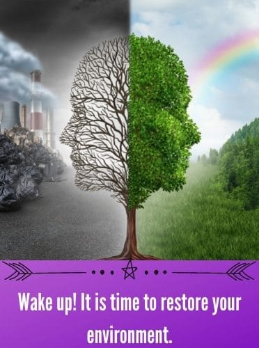 Wake up! It is time to restore your environment.
